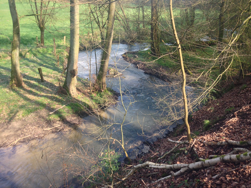 curves - found @ Neandertal - &copy; Tom Loewen | 14x3.de