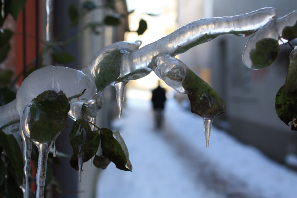 ice - found in Kalkar - &copy; Tom Loewen | 14x3.de