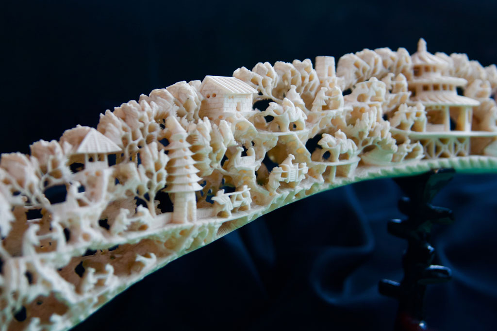 ivory - found @ the zoo - &copy; Tom Loewen | 14x3.de