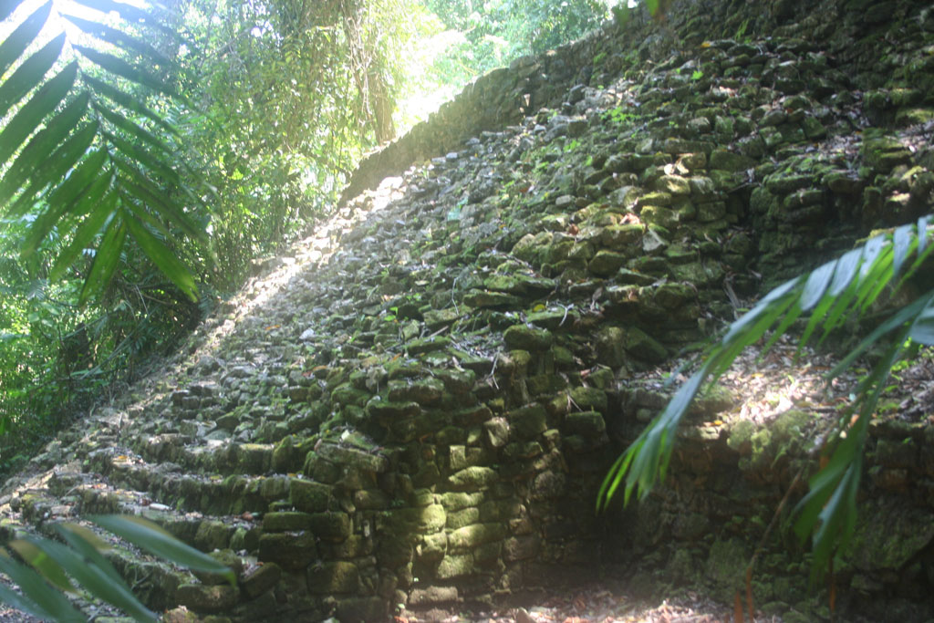 stairs - found in the jungle - &copy; Tom Loewen | 14x3.de